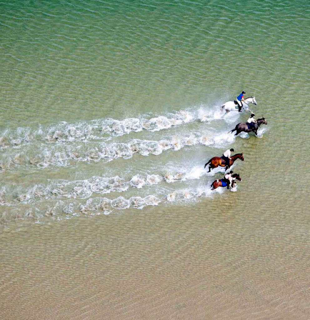 Horse Riding Things To Do In Tralee 4* Manor West Hotel Kerry