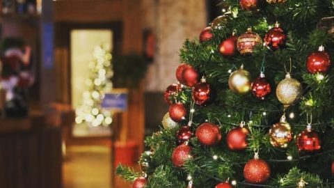 Christmas Tree in Bar