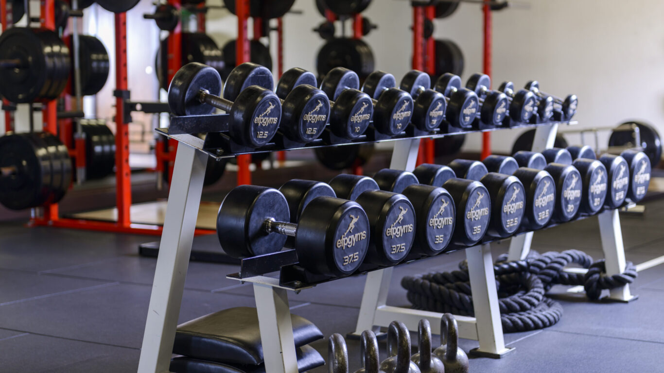 Manor West &ndash; Weights rack